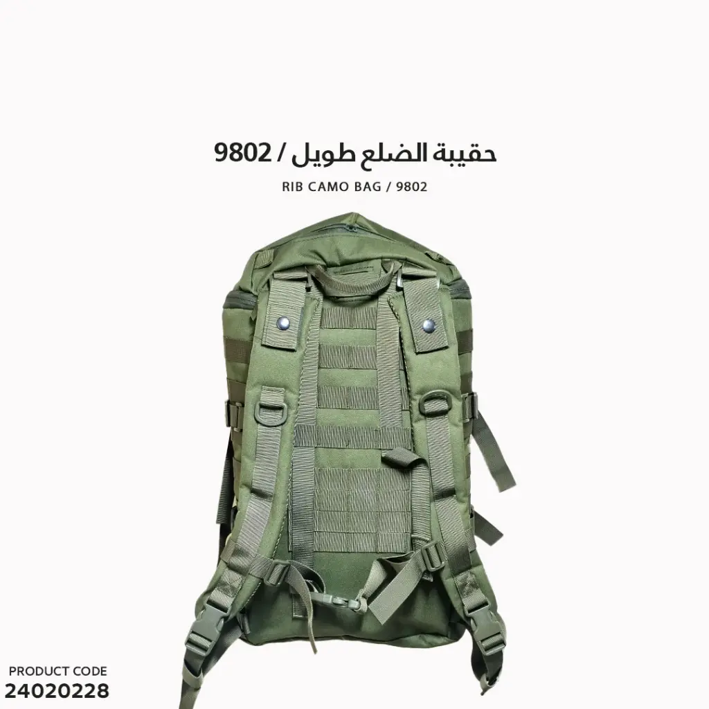 3.webp